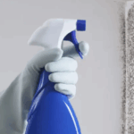How to Prevent Mold After Heavy Rains in Singapore